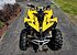 2008 Can-Am Renegade 800 for sale 200575003